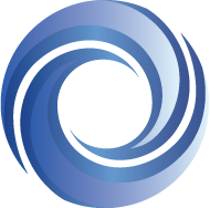 Vortex Computation